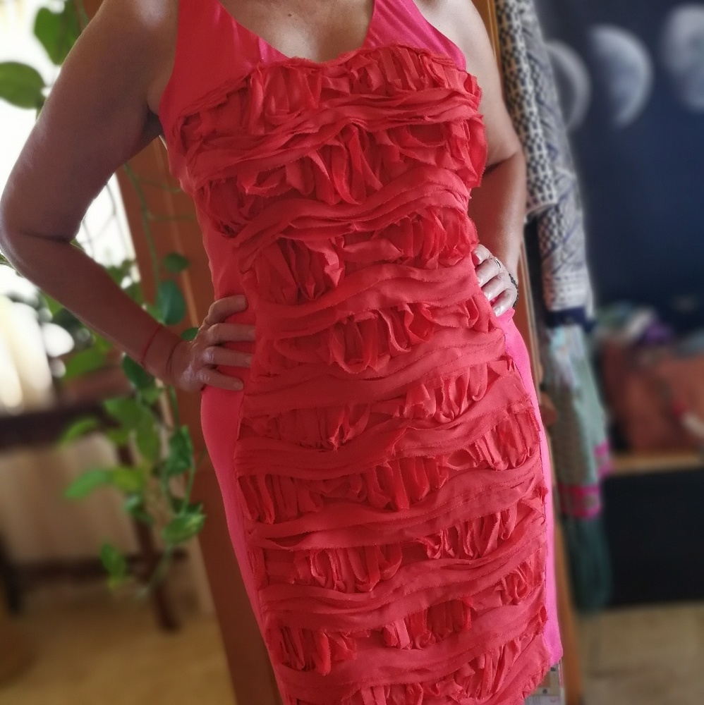 Cynthia steffe silk 2 tone dress